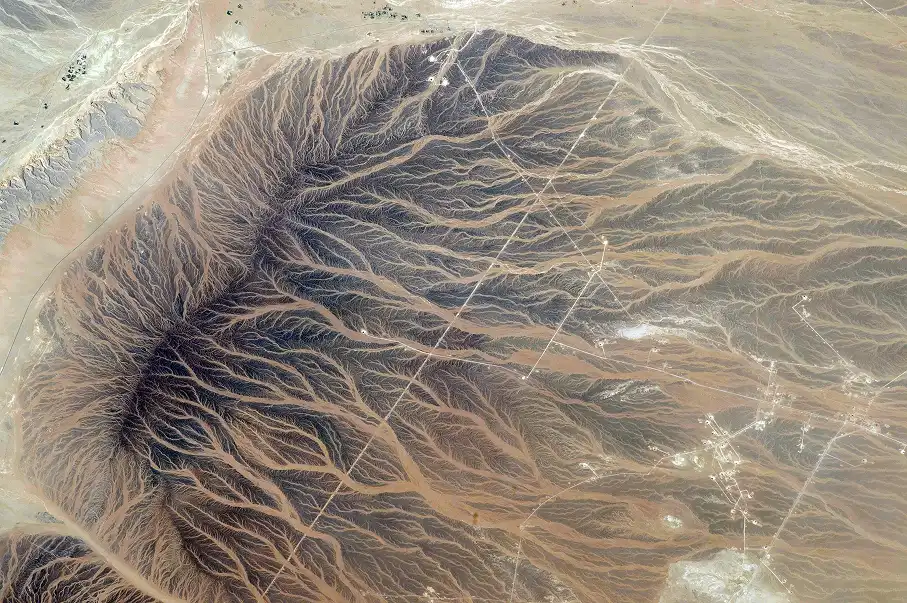 Details section image
